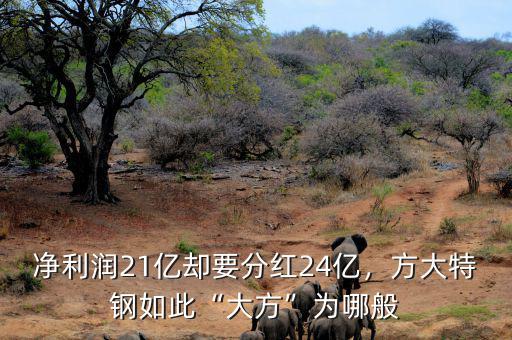 凈利潤21億卻要分紅24億，方大特鋼如此“大方”為哪般