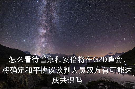 怎么看待普京和安倍將在G20峰會(huì)，將確定和平協(xié)議談判人員雙方有可能達(dá)成共識(shí)嗎