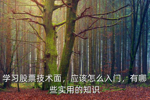 學習股票技術面，應該怎么入門，有哪些實用的知識
