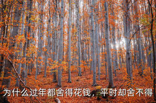 為什么過年都舍得花錢，平時卻舍不得