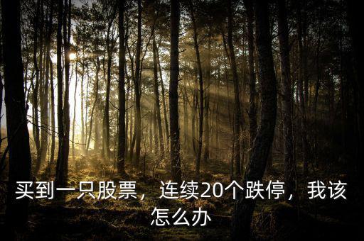 買到一只股票，連續(xù)20個(gè)跌停，我該怎么辦