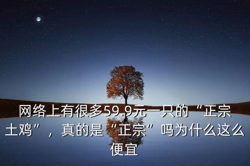 網(wǎng)絡(luò)上有很多59.9元一只的“正宗土雞”，真的是“正宗”嗎為什么這么便宜