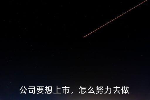 公司要想上市，怎么努力去做