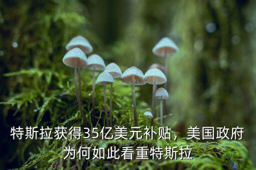 特斯拉獲得35億美元補(bǔ)貼，美國(guó)政府為何如此看重特斯拉
