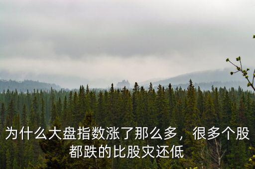 為什么大盤指數(shù)漲了那么多，很多個股都跌的比股災還低