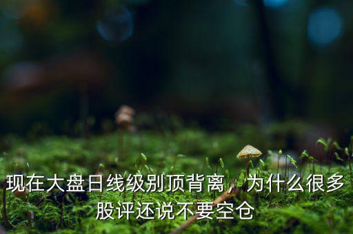 現(xiàn)在大盤日線級(jí)別頂背離，為什么很多股評還說不要空倉