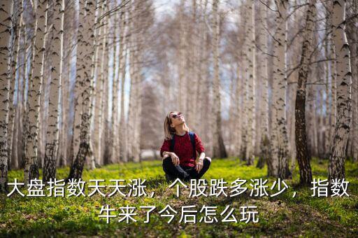 大盤指數(shù)天天漲，個股跌多漲少，指數(shù)牛來了今后怎么玩