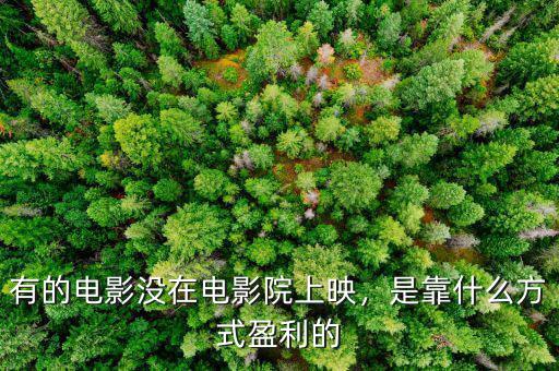 有的電影沒在電影院上映，是靠什么方式盈利的