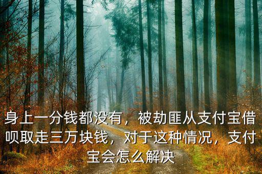 身上一分錢都沒有，被劫匪從支付寶借唄取走三萬(wàn)塊錢，對(duì)于這種情況，支付寶會(huì)怎么解決