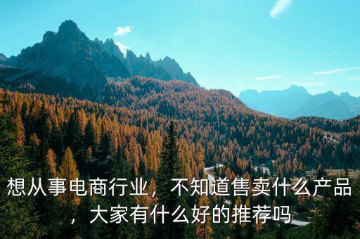 想從事電商行業(yè)，不知道售賣什么產(chǎn)品，大家有什么好的推薦嗎