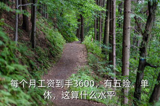 每個(gè)月工資到手3600，有五險(xiǎn)、單休，這算什么水平