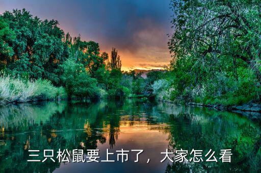 三只松鼠要上市了，大家怎么看