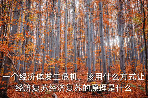 一個(gè)經(jīng)濟(jì)體發(fā)生危機(jī)，該用什么方式讓經(jīng)濟(jì)復(fù)蘇經(jīng)濟(jì)復(fù)蘇的原理是什么