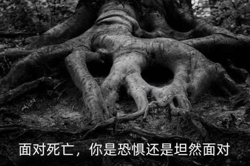 面對(duì)死亡，你是恐懼還是坦然面對(duì)