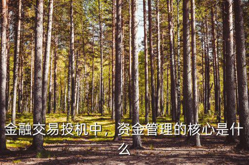 金融交易投機(jī)中，資金管理的核心是什么