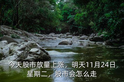 今天股市放量上漲，明天11月24日星期二，股市會怎么走