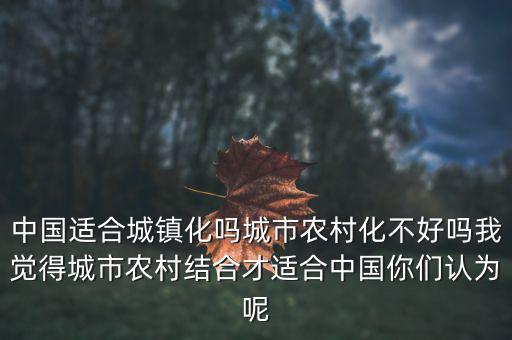 中國(guó)適合城鎮(zhèn)化嗎城市農(nóng)村化不好嗎我覺(jué)得城市農(nóng)村結(jié)合才適合中國(guó)你們認(rèn)為呢