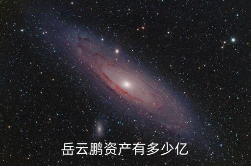 岳云鵬資產有多少億