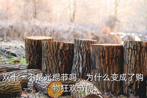 雙十一不是光棍節(jié)嗎，為什么變成了購物狂歡節(jié)呢