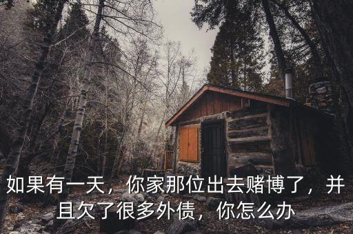 如果有一天，你家那位出去賭博了，并且欠了很多外債，你怎么辦