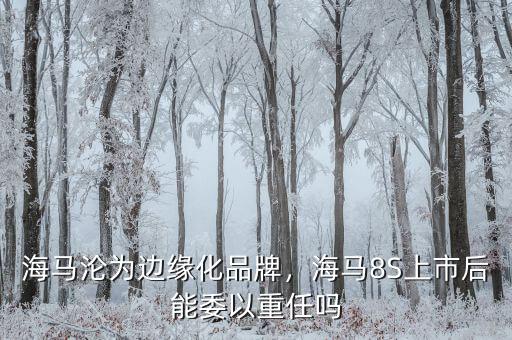 海馬淪為邊緣化品牌，海馬8S上市后能委以重任嗎