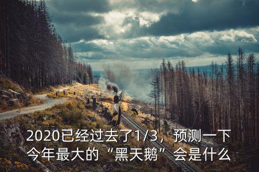 2020已經(jīng)過去了1/3，預(yù)測(cè)一下今年最大的“黑天鵝”會(huì)是什么