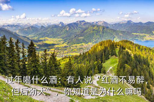 過年喝什么酒：有人說“紅酒不易醉，但后勁大”，你知道是為什么嘛嗎