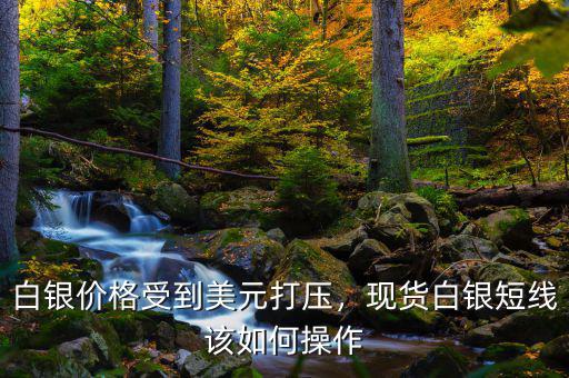 白銀價(jià)格受到美元打壓，現(xiàn)貨白銀短線該如何操作