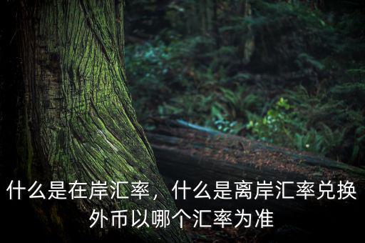 什么是在岸匯率，什么是離岸匯率兌換外幣以哪個匯率為準(zhǔn)