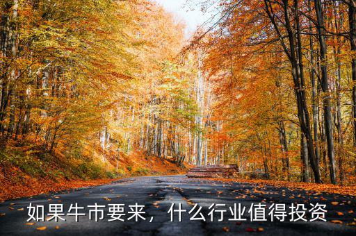 如果牛市要來，什么行業(yè)值得投資