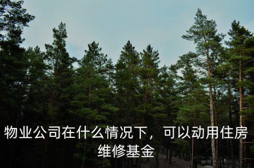 物業(yè)公司在什么情況下，可以動用住房維修基金