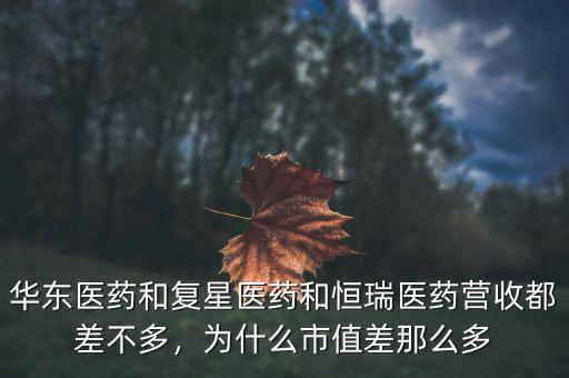 華東醫(yī)藥和復(fù)星醫(yī)藥和恒瑞醫(yī)藥營收都差不多，為什么市值差那么多