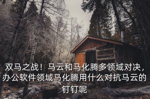 雙馬之戰(zhàn)！馬云和馬化騰多領(lǐng)域?qū)Q，辦公軟件領(lǐng)域馬化騰用什么對抗馬云的釘釘呢