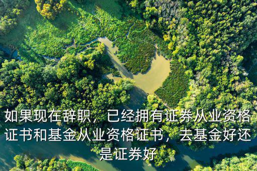 如果現(xiàn)在辭職，已經(jīng)擁有證券從業(yè)資格證書和基金從業(yè)資格證書，去基金好還是證券好