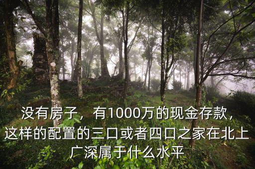 沒有房子，有1000萬的現(xiàn)金存款，這樣的配置的三口或者四口之家在北上廣深屬于什么水平
