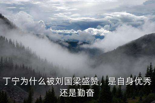 丁寧為什么被劉國(guó)梁盛贊，是自身優(yōu)秀還是勤奮