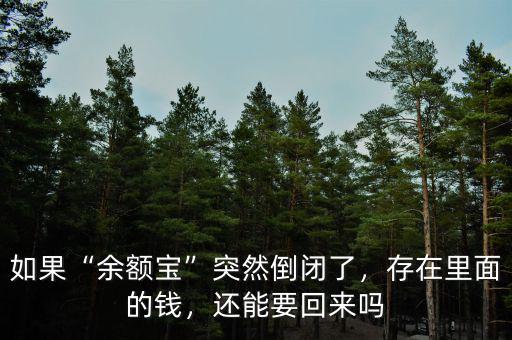 如果“余額寶”突然倒閉了，存在里面的錢，還能要回來嗎