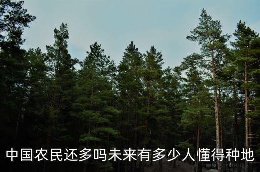 中國(guó)農(nóng)民還多嗎未來有多少人懂得種地