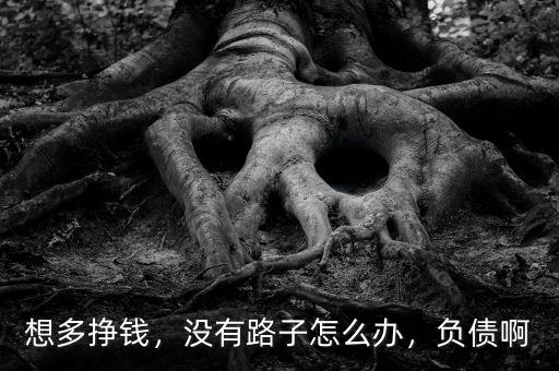 想多掙錢，沒有路子怎么辦，負債啊