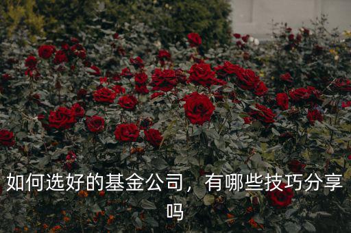 如何選好的基金公司，有哪些技巧分享嗎