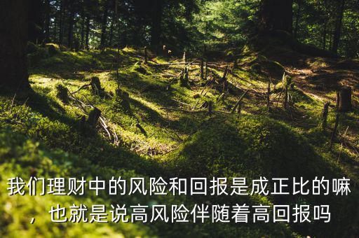 我們理財中的風(fēng)險和回報是成正比的嘛，也就是說高風(fēng)險伴隨著高回報嗎