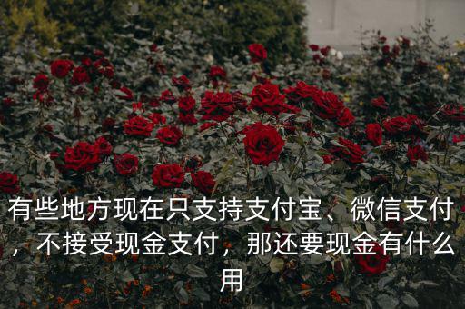有些地方現(xiàn)在只支持支付寶、微信支付，不接受現(xiàn)金支付，那還要現(xiàn)金有什么用