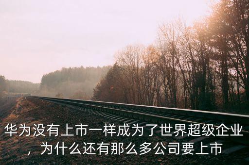 華為沒(méi)有上市一樣成為了世界超級(jí)企業(yè)，為什么還有那么多公司要上市