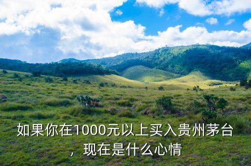 如果你在1000元以上買入貴州茅臺，現(xiàn)在是什么心情