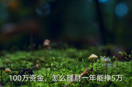 100萬資金，怎么理財(cái)一年能掙5萬