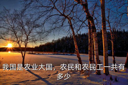 我國(guó)是農(nóng)業(yè)大國(guó)，農(nóng)民和農(nóng)民工一共有多少