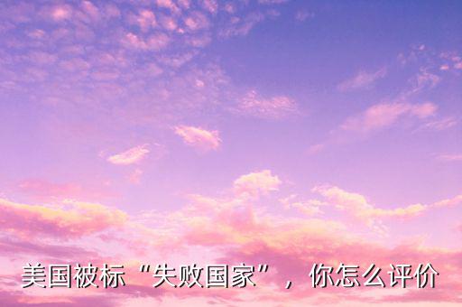 美國被標“失敗國家”，你怎么評價