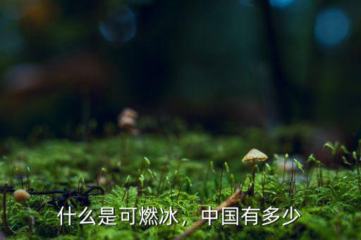 什么是可燃冰，中國有多少