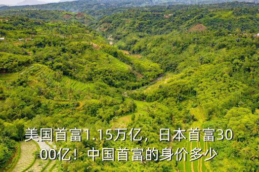 美國首富1.15萬億，日本首富3000億！中國首富的身價(jià)多少