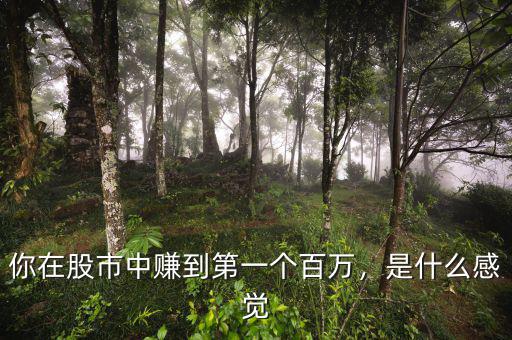 你在股市中賺到第一個百萬，是什么感覺